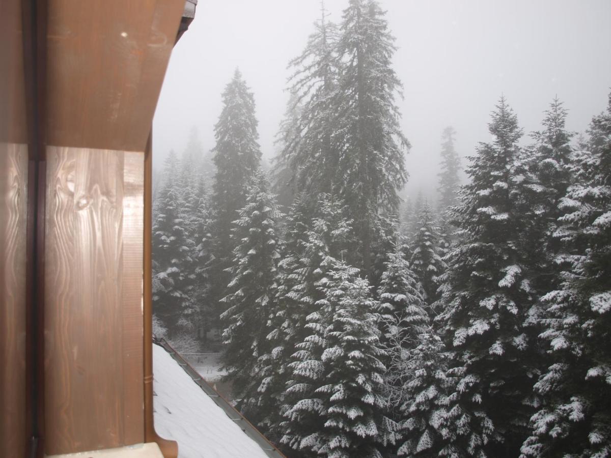 Borovets Forest View Dış mekan fotoğraf