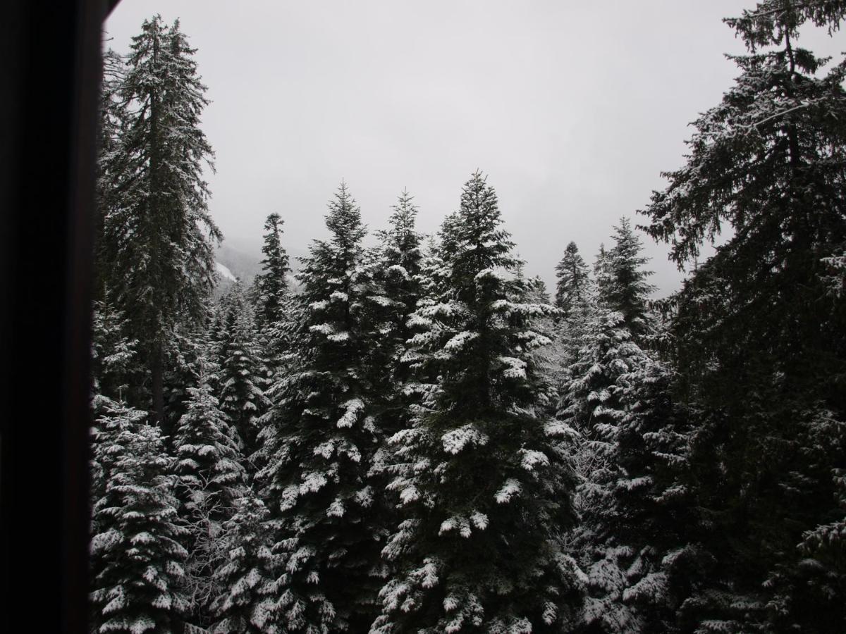 Borovets Forest View Dış mekan fotoğraf