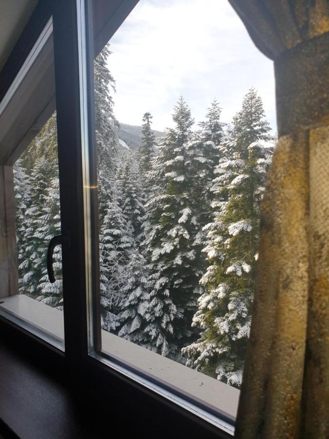Borovets Forest View Dış mekan fotoğraf
